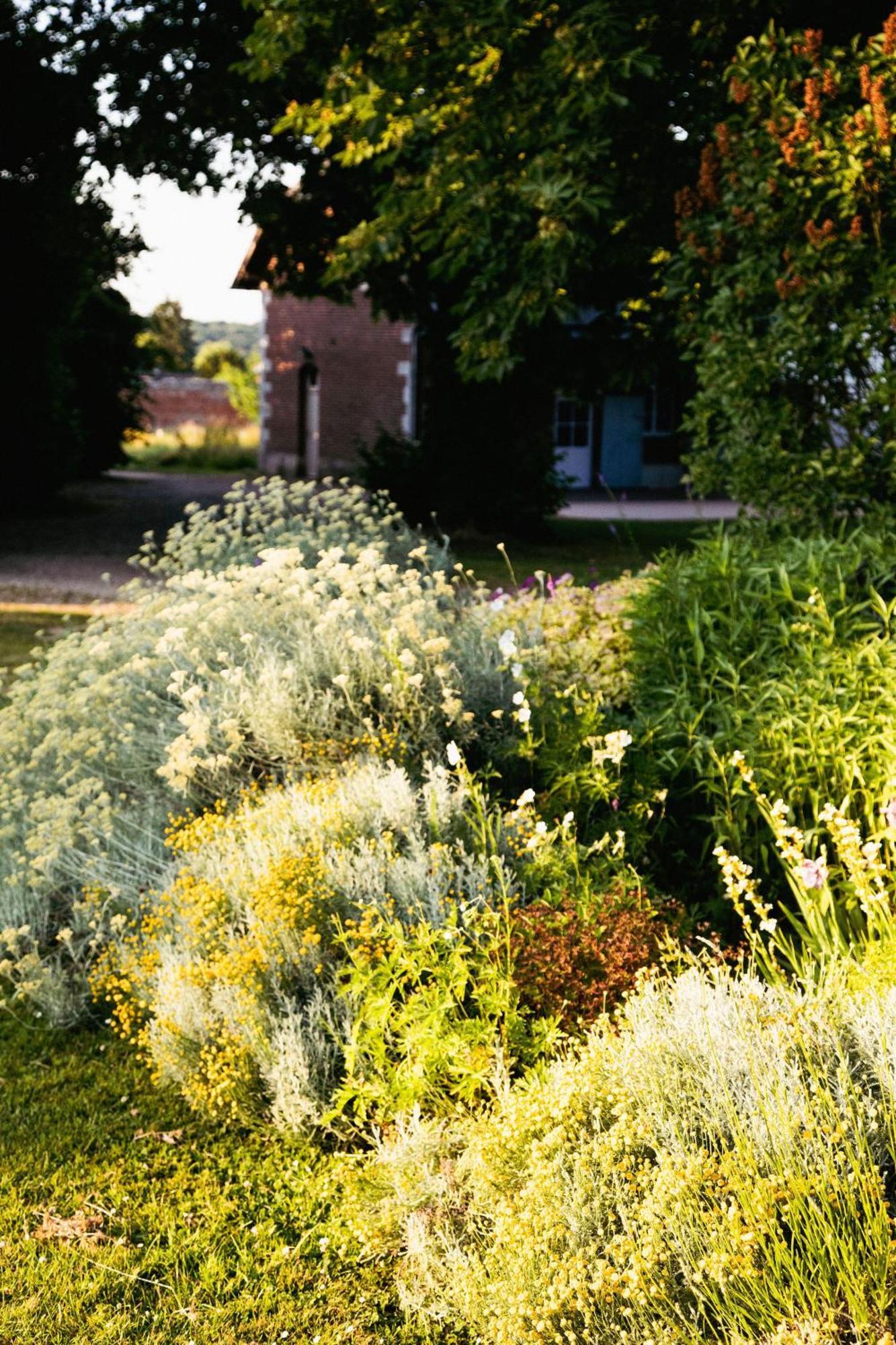Le Chateau De Bonnemare - Bed And Breakfast Radepont 외부 사진