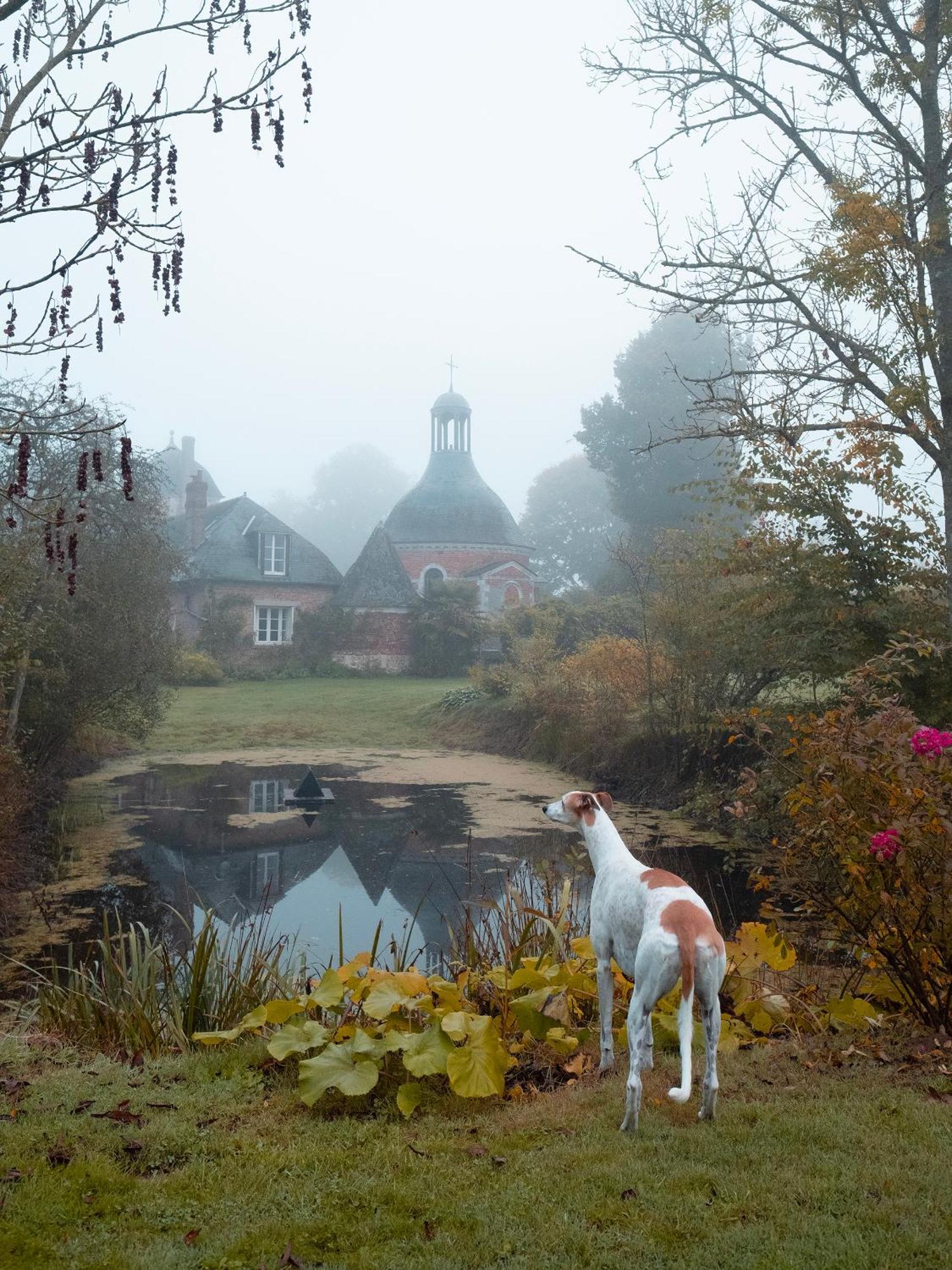 Le Chateau De Bonnemare - Bed And Breakfast Radepont 외부 사진